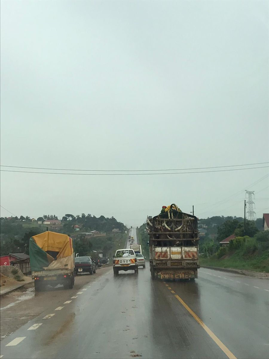 Transport services
